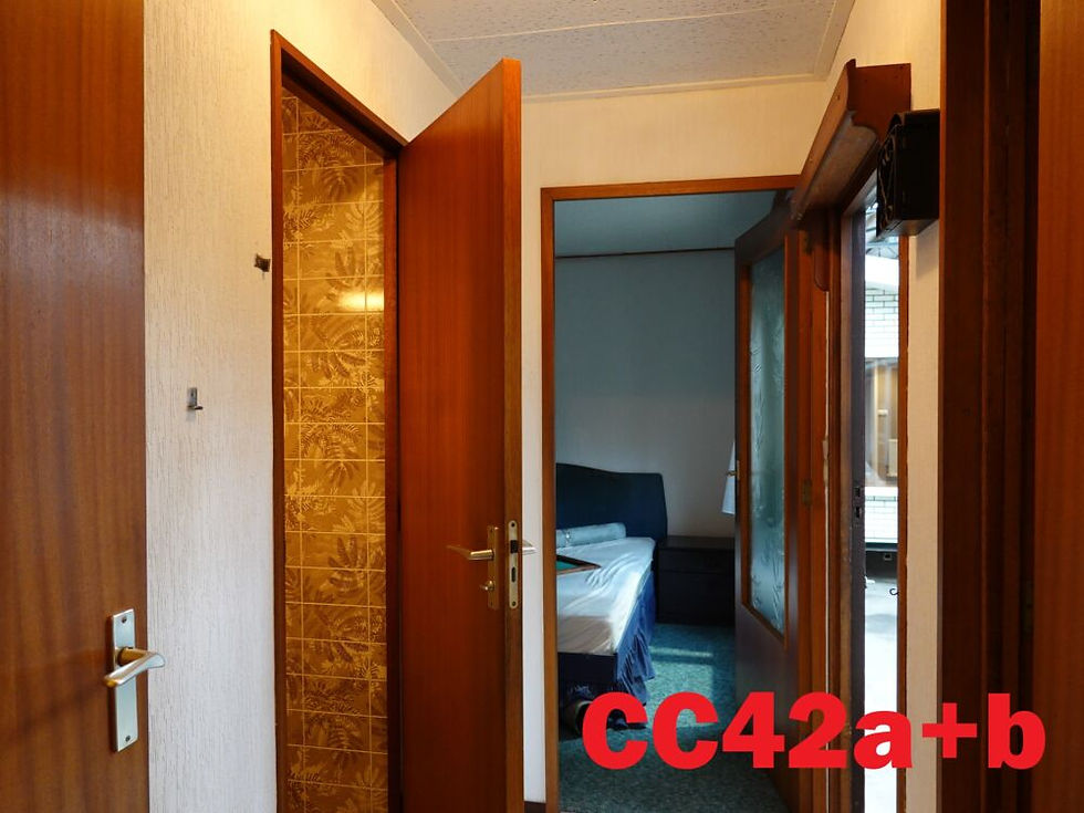 Miniaturbild: corredor