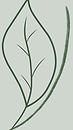 busy founders logo (7)_edited.jpg