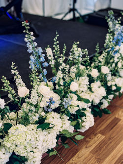 leila_brewster_photography_1884