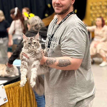 KCH-SE-Power-Tail-s-Princess-Aurora-titelkatt-JCH.jpg