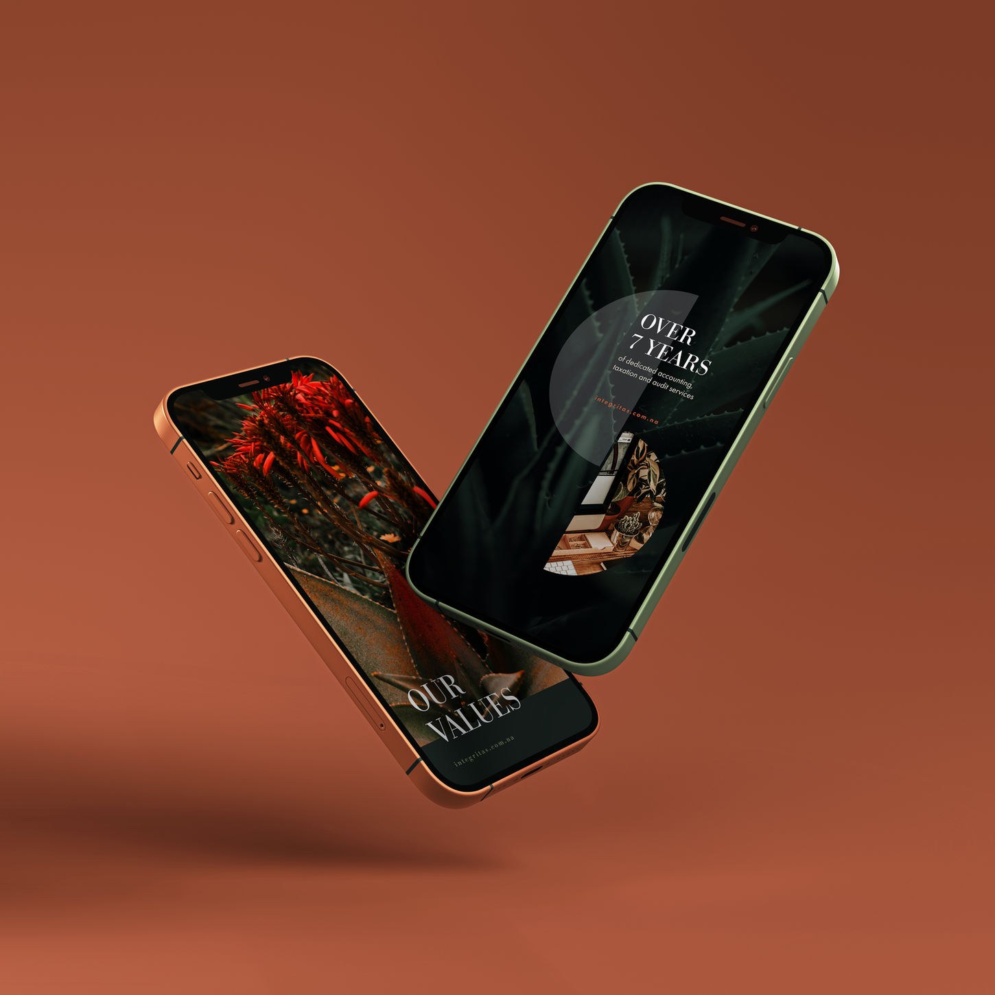 Meet the Cottontail Design Burrow Client, Integritas Financial Services, Alwyn Maass.