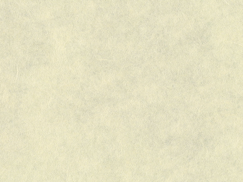 japanese-paper_00162_edited.jpg