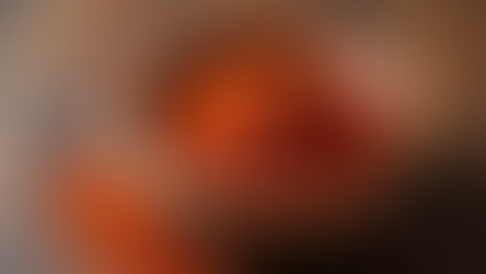 Culinary Uses of Ancho Chili: A Guide to Adding Depth and Warmth to Your Dishes