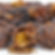 Scotch Bonnet Pods (10.0g)