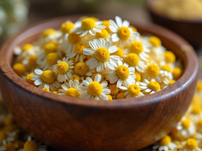Discover the Benefits of Herbal Teas