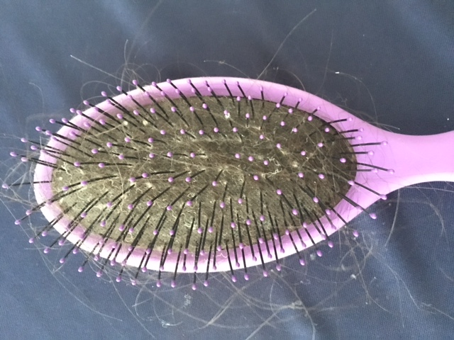 hair loss telogen effluvium