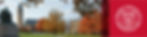LinkedIn Banner - Cornell2.jpg