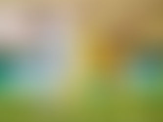 Pachuca y Tigres empatan