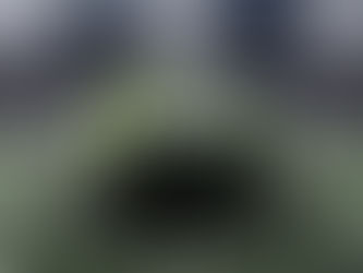 Los productores Michoacanos mandarán 140 mil toneladas de Aguacate para el Super Bowl