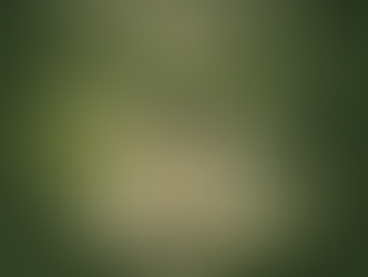 Ritual bajo el cielo Otomí: Caifanes llevará su mística a las alturas de Temoaya