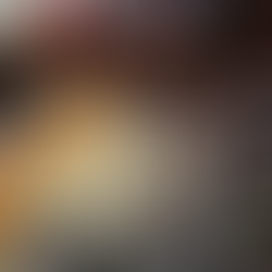 PLAN B EN PAUSA: Choque entre PT y Morena frena reforma electoral clave rumbo a 2027