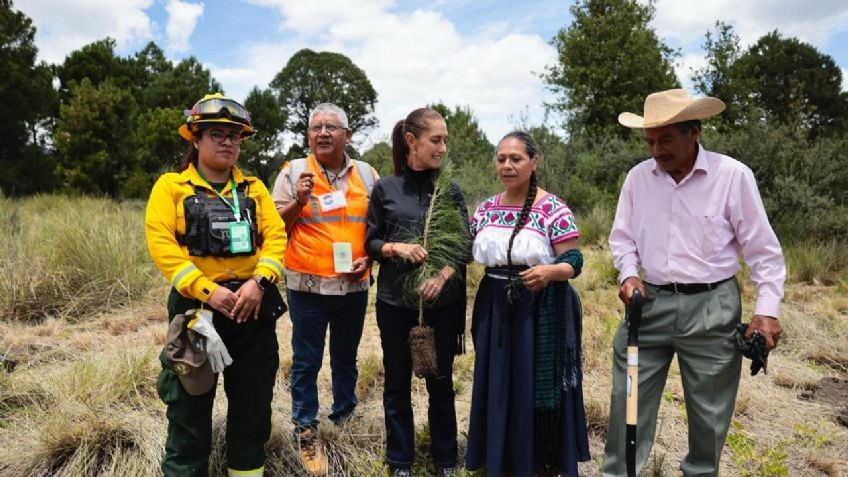 Así fue como Sheinbaum cambió la reforestación en Guanajuato