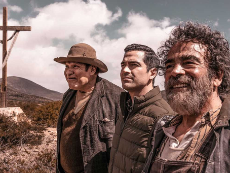 3 películas y series mexicanas para disfrutar este 16 de septiembre