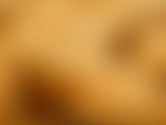 El Alarmante Incremento en el Precio del Pan Blanco Preocupa a Consumidores Mexicanos