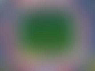 Querétaro tendrá nueva sede de local para enfrentar al Atlético San Luis