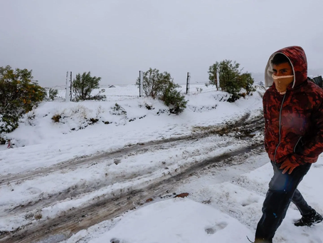 Alerta del SMN por Frente Frío 8: Heladas de hasta -10°C y Vientos Fuertes en el Noroeste de México