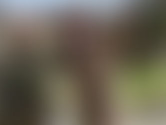 Diputado ruso Leonid Slutski: Pena de muerte a los 265 militares capturados el pasado lunes