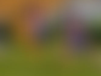 Tigres asesta triple zarpazo al Atlético de San Luis