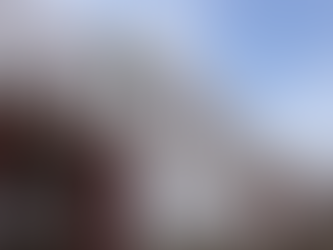 AMLO admite único caso de corrupción en su gobierno: fraude en Segalmex