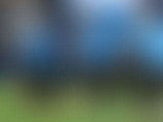 Uruguay se Queda con la Medalla de Tercer Lugar tras una Dramática Tanda de Penales en la Copa América 2024