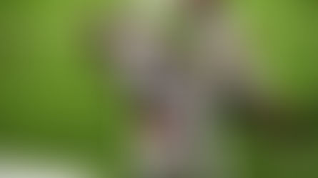 Tom Brady y Bucaneros a la final y enfrentarán a los Empacadores de Nueva Orleans