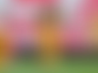 Tigres golea a Necaxa