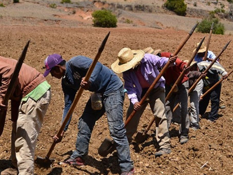 Geoparque Mundial UNESCO de Oaxaca es referente para resistir el cambio climático