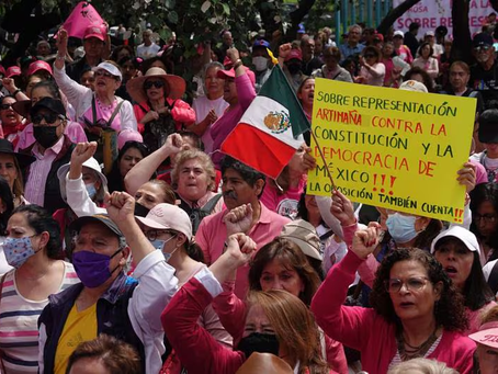 La ‘Marea Rosa’ Exige al INE Evitar Sobrerrepresentación de Morena