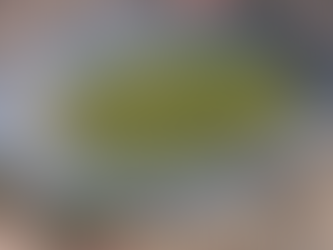 Club América Encuentra Nuevo Hogar para el Torneo Apertura 2024