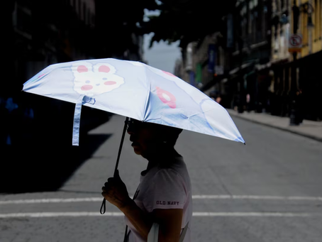 Preparativos para la Cuarta Ola de Calor en Medio de un Año Excepcionalmente Caluroso