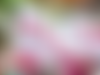 Morena enciende la carrera rumbo a 2027: fija calendario para elegir candidatos a 17 gubernaturas y lanza estrictas reglas internas