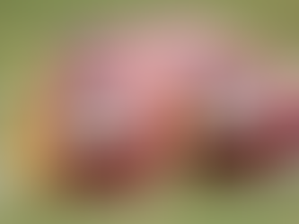 Los Washington Redskins, envueltos en un escándalo sexual y abuso verbal