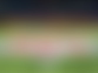 La NFL no tendrá partidos de pretemporada y habrá pruebas diarias de coronavirus