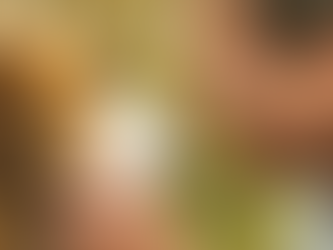 Celebra el Día del Perro con estas Emotivas Películas sobre la Lealtad y el Amor Canino