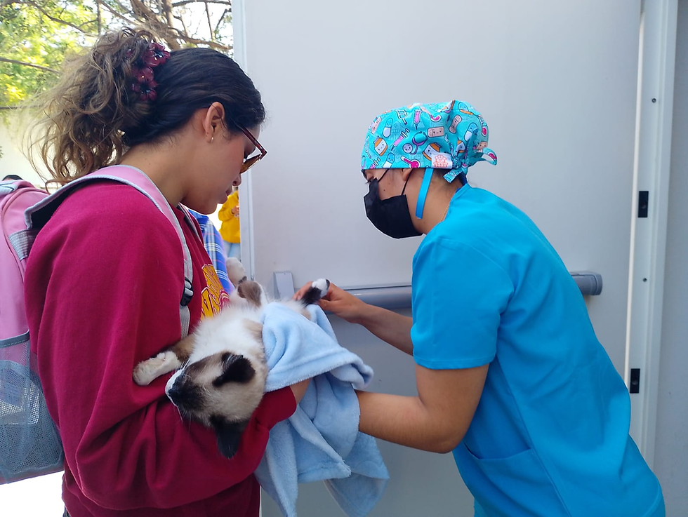 MÁS ESTERILIZACIONES GRATUITAS PARA CELAYA