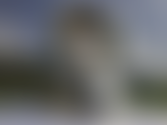 Arranca la Leagues Cup 2025: Liga MX y MLS se enfrentan en un mes de intensa competencia con nuevo formato