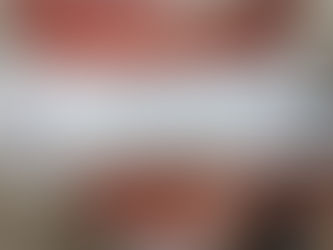 Cucursola sin permisos federales; Profepa clausura desarrollo de Ascencio Barba