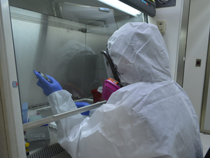 SSG realiza vigilancia epidemiológica permanente y preventiva por brote internacional de Ébola