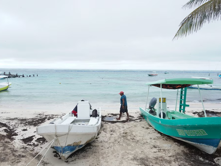 Alerta en el sur de México por posible ciclón tropical: fuertes lluvias, calor extremo e inundaciones
