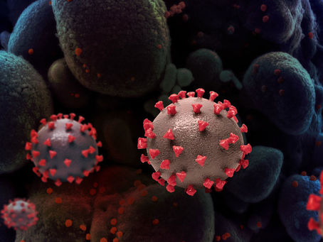 La agencia de la ONU para la salud pide que se apoyen nuevos estudios sobre el origen del COVID19