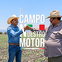 MOYM-campo-nuestro.png
