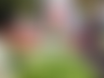 Inflación en México baja a 3.57% tras nuevo recorte de tasas de Banxico, pero persisten temores de recesión