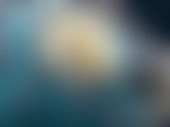 Confirman primer caso humano en México de miasis por gusano barrenador del ganado en Chiapas