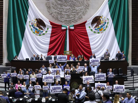 El Pleno de la Cámara de Diputados Aprueba Reforma a la Ley de Amnistía sin Modificaciones