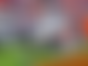 Semana 16 deja huella: Jaguars superan a Broncos en duelo decisivo