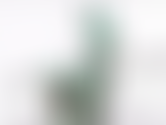 México participará en foro para combatir tráfico de bienes culturales