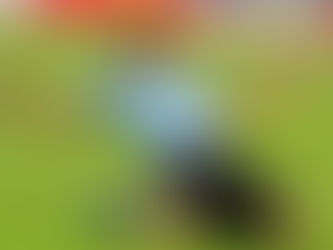 Atlético de Madrid anuncia acuerdo con Barcelona por Luis Suárez