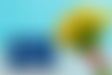 21 de marzo: Entre el legado de Juárez y la fiebre de las flores amarillas