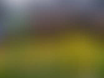 América se juega la vida ante Portland Timbers en la Leagues Cup: solo la victoria los mantiene con vida