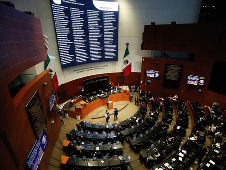 Treinta senadores buscan candidaturas para gubernaturas